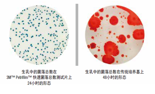 菌落總數(shù) 菌落總數(shù)